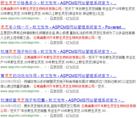 企業網絡營銷與品牌推廣的全方位策劃方案