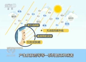 廢家電的歸途 一場綠色轉型的戰役
